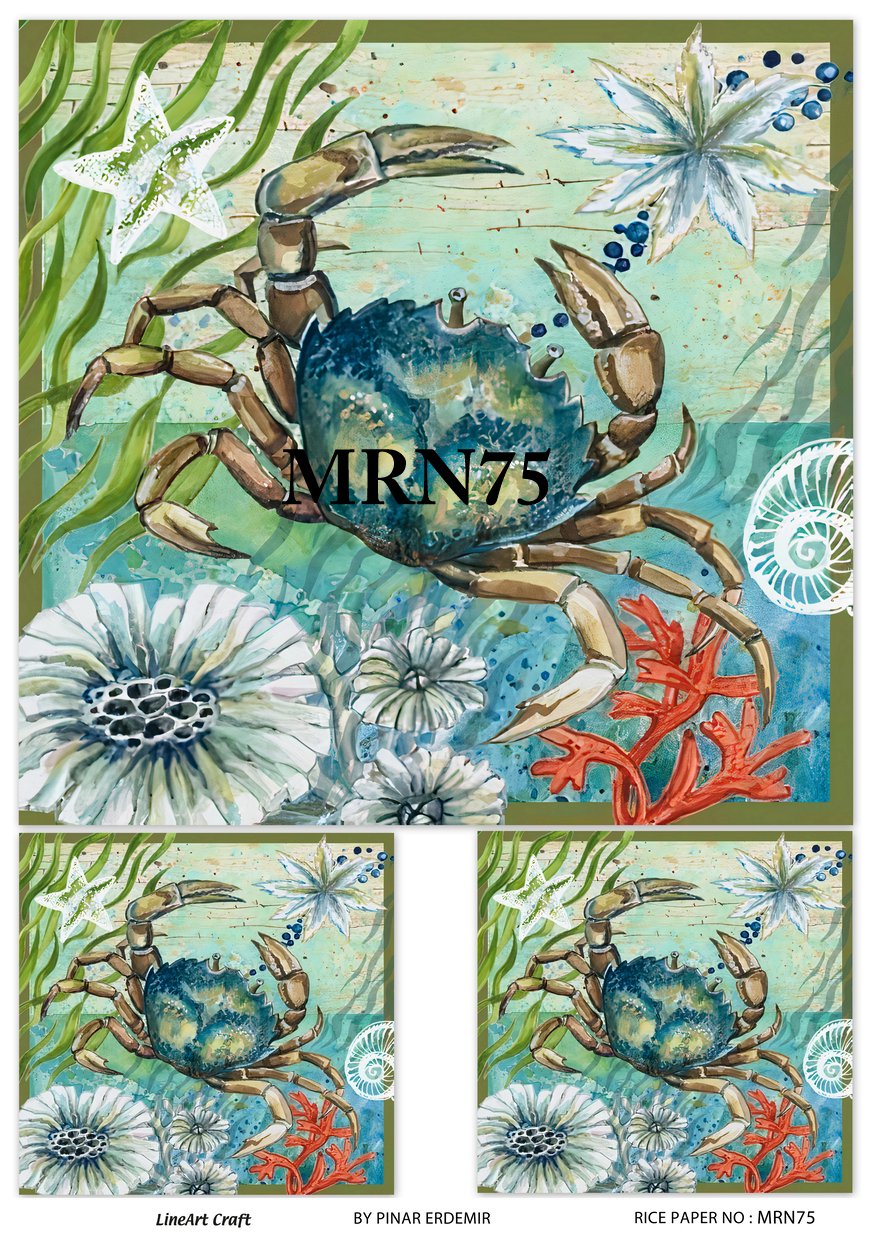 mrn75
